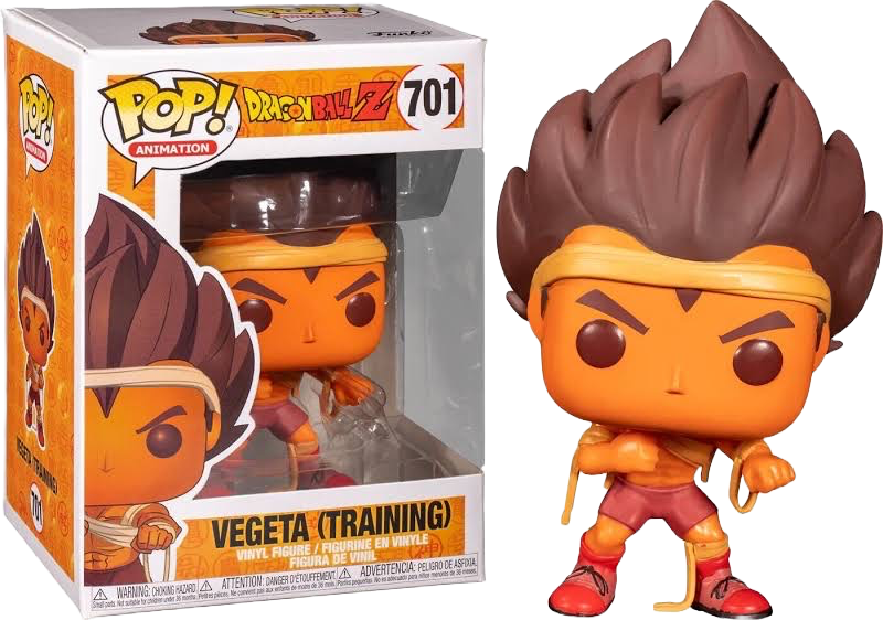 Vegeta (Training)